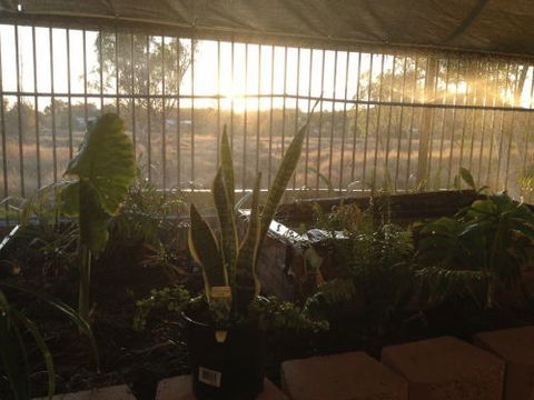 Cityside Accommodation | Mt Isa - Mackay Tourism 5