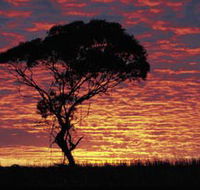Kimba Caravan Park amp Motel - Mackay Tourism