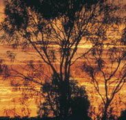 Tilmouth Well - Mackay Tourism