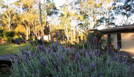 Wild Edge Retreat - Mackay Tourism 2