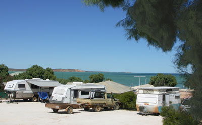 Blue Dolphin Caravan Park And Holiday Village - Mackay Tourism 0