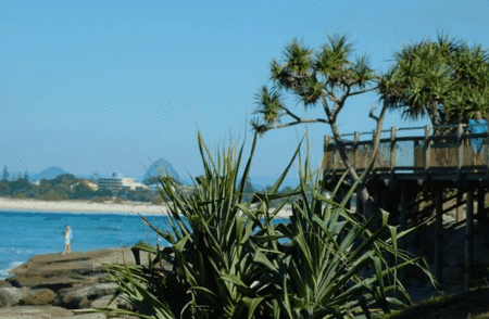 Pandanus Shores - Mackay Tourism 5