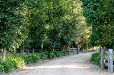 The Plantation - Mackay Tourism 0