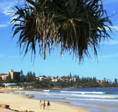 Mariners Caloundra - Mackay Tourism