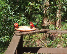 Trent WA Mackay Tourism