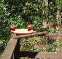 Tree Tops - Mackay Tourism