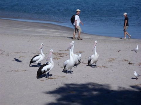 Kalbarri Accommodation Service - Mackay Tourism 5
