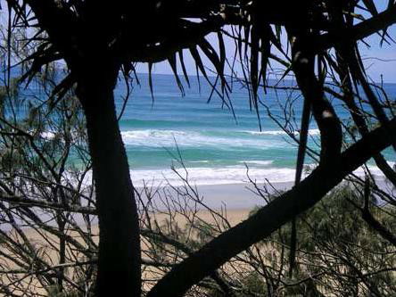Teewah Beach Escapes - Mackay Tourism 4