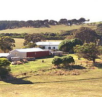 Sun Valley Eco Farm - Mackay Tourism
