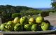 The Outlook Cabana - thumb 8