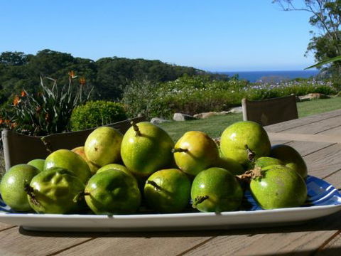 The Outlook Cabana - Mackay Tourism 8
