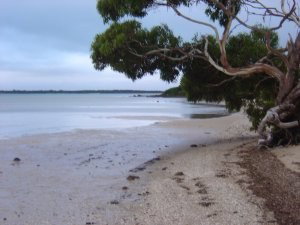 Stanley Lakeside Spa Cabins - Mackay Tourism 0