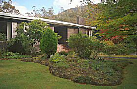 Fern Tree TAS Mackay Tourism