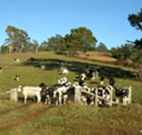 St Columba Cottage - Mackay Tourism