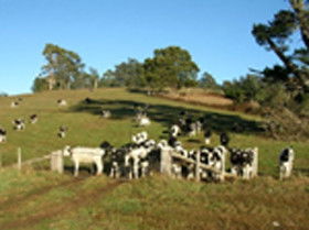St Columba Cottage - Mackay Tourism 0