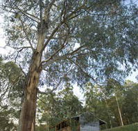 Outpost Restaurant - Mackay Tourism