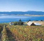 Marions Vineyard  - Mackay Tourism