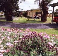 Brigadoon Holiday Units - Mackay Tourism