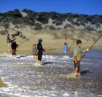 Flippers Beachouse - Mackay Tourism