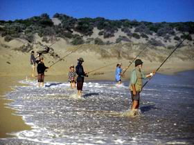 Flippers Beachouse - Mackay Tourism 0