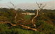 Black Rock Retreat - thumb 0
