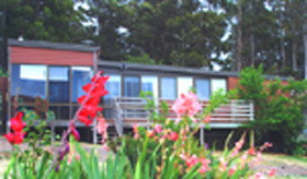Lower Barrington TAS Mackay Tourism