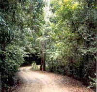 Mt Glorious Getaway Cottages And Conference Centre