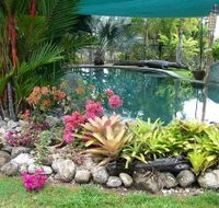 Daintree Wild Bed And Breakfast - Mackay Tourism