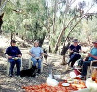 Bimbimbi And Little Hollow Farm Stay - Mackay Tourism