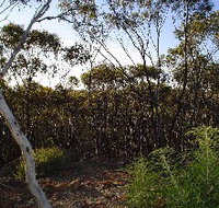 Lions Dryandra Woodlands Village - Mackay Tourism