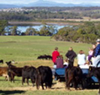 Bonny Brae - Mackay Tourism