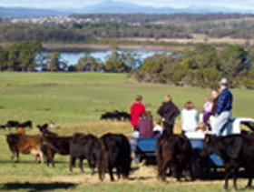 Bonny Brae - Mackay Tourism 0