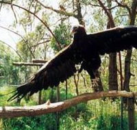 Curlew Hill Sanctuary - Mackay Tourism