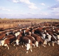 Bond Springs Outback Retreat - Mackay Tourism