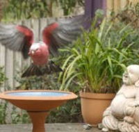 Wattle Court  Retreat - Mackay Tourism