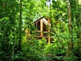 Tarzali QLD Mackay Tourism