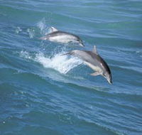 Seachange - Mackay Tourism