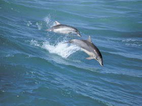 Seachange - Mackay Tourism 0