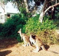 Avoca Dell Caravan Park - Mackay Tourism