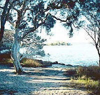 The Cove - Mackay Tourism