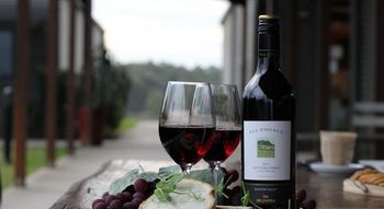 Estate Tuscany - Mackay Tourism 11