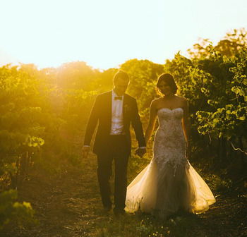 Estate Tuscany - Mackay Tourism 17