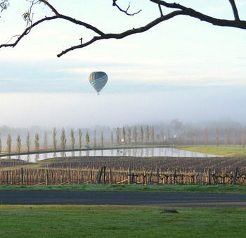 Estate Tuscany - Mackay Tourism 20