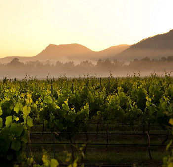 Estate Tuscany - Mackay Tourism 21