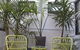 The Savoy Double Bay Hotel - thumb 24
