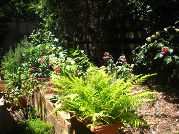 Bungunyah Apartments - Mackay Tourism 1