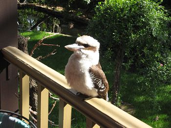 Bungunyah Apartments - Mackay Tourism 3