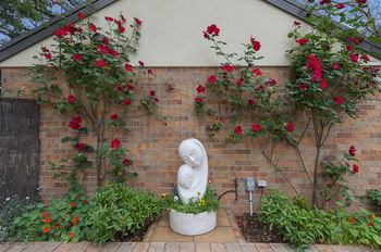 Bungunyah Apartments - Mackay Tourism 8