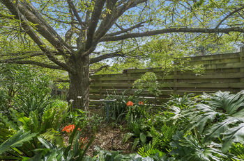 Bungunyah Apartments - Mackay Tourism 41