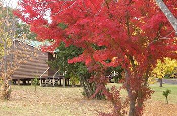 Madison's Mountain Retreat - Mackay Tourism 1